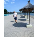 2_1(1).webp