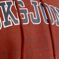 2_4-2.webp