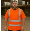 Newport Leo (1).webp