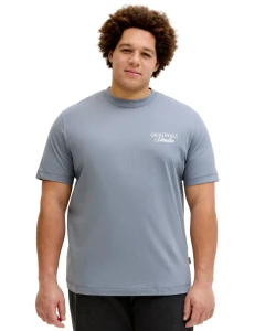 Velké pánské tričko s krátkým rukávem s potiskem na zádech Jack & Jones 12288197 šedomodré