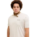 16.webp