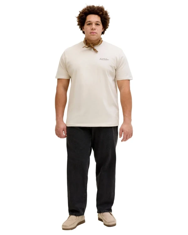19.webp