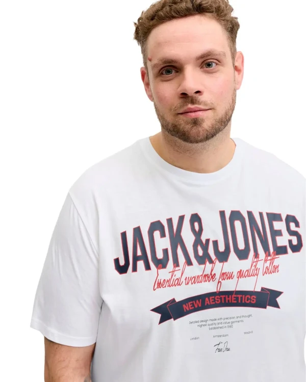 12289691+wh+(2).webp