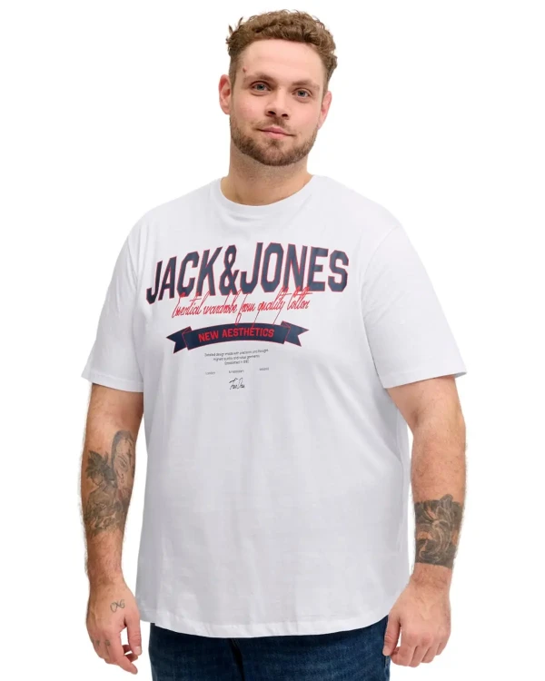 12289691+wh+(6).webp