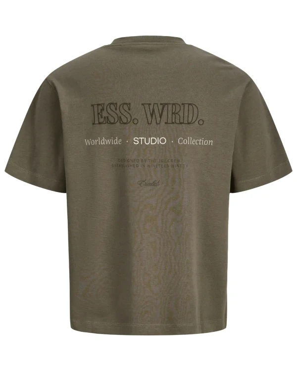 14.webp