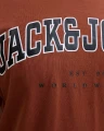4(1)-7.webp