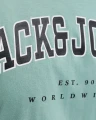 8.webp