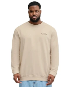 Velká pánská tenká mikina přes hlavu Jack & Jones 12294579 béžová